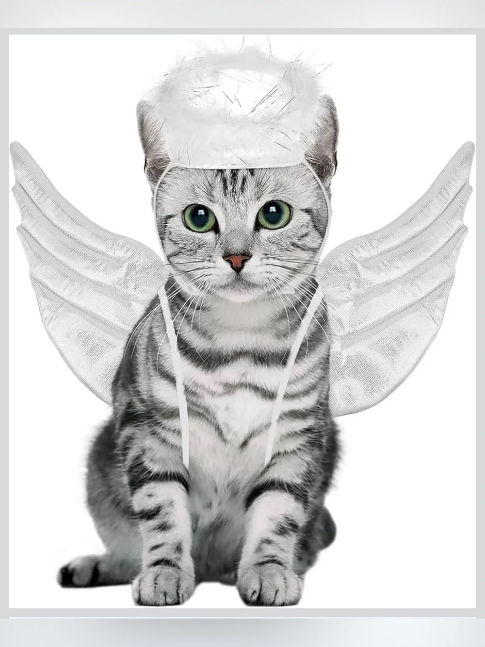 🐶🐰White Angel Wings and Halo Costume for Cats - Cute Pet Dress-Up